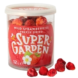 Džiovintos šaltyje žemuogės – SUPERGARDEN, 12g