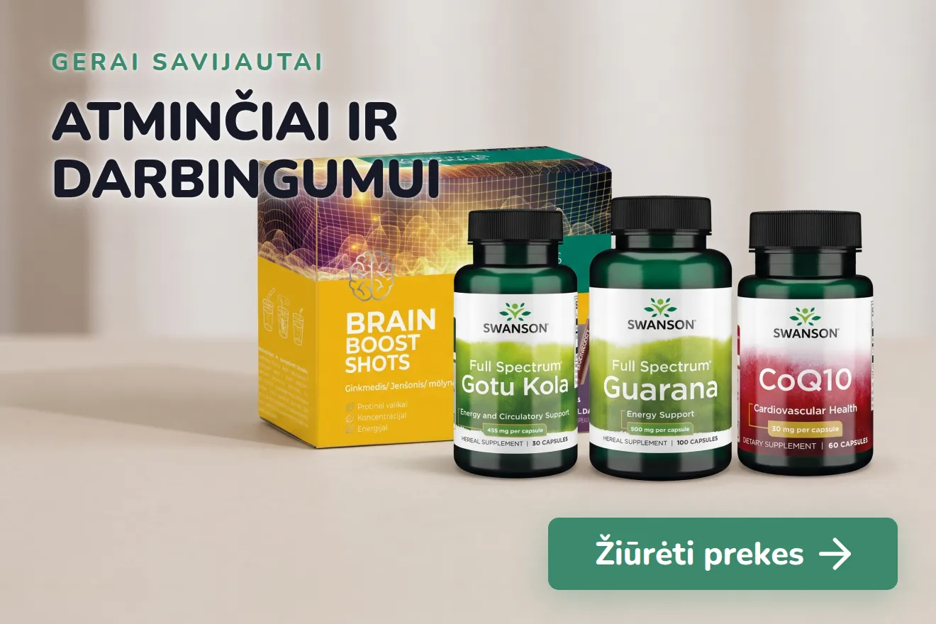 Atminčiai ir darbingumui