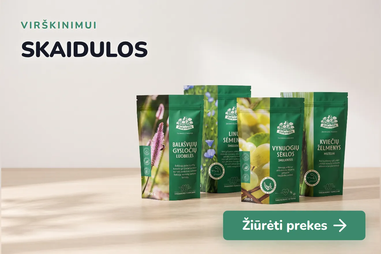 Skaidulos